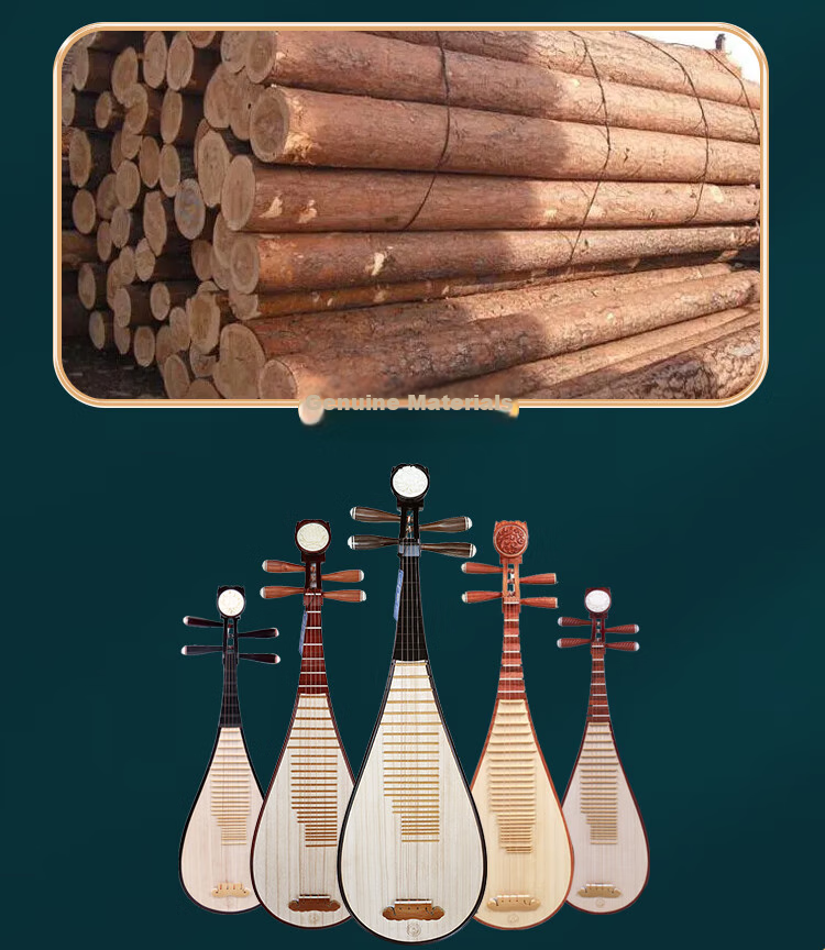 Xinghai Pipa 8916 Black Purple Sandalwood Instrument Adult Children Beginner Professional Grading Performance 5