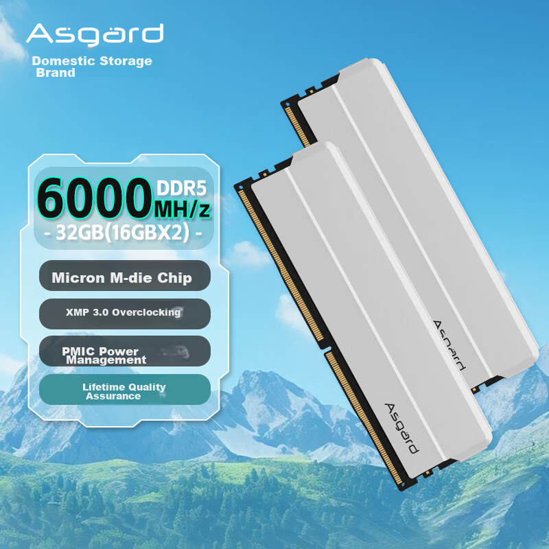 阿斯加特（Asgard）32GB(16GBx2) DDR5 6000 台式机内存条 海拉 马甲条 海力士M-die CL30 星光银