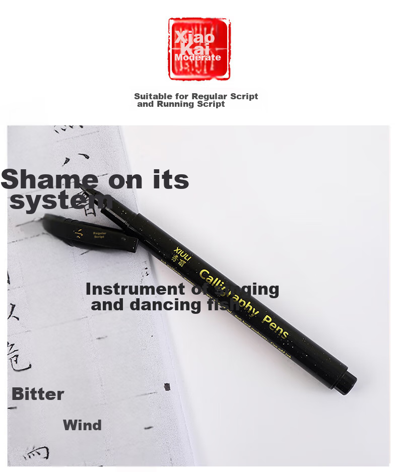 Touch Fish Calligraphy Practice Set with Soft Brush Pen, Signature Pen for Small, Medium And Large Regular Script, Hard Pen Style, Fountain Pen-Like Brush Pen for Beginners, Elementary School Students, Soft Tip, 4-Piece Set 5