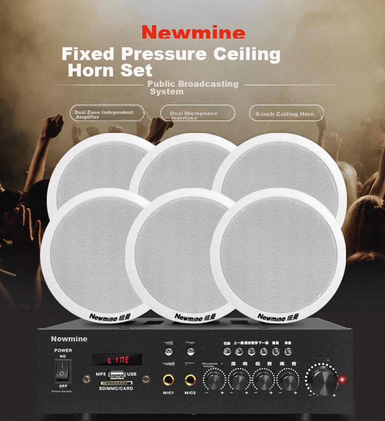 Newmine R16 Constant Voltage Ceiling Speaker Sound System Set, Suspended Ceiling Background Music Public Address Amplifier Speaker System (One-To) 1