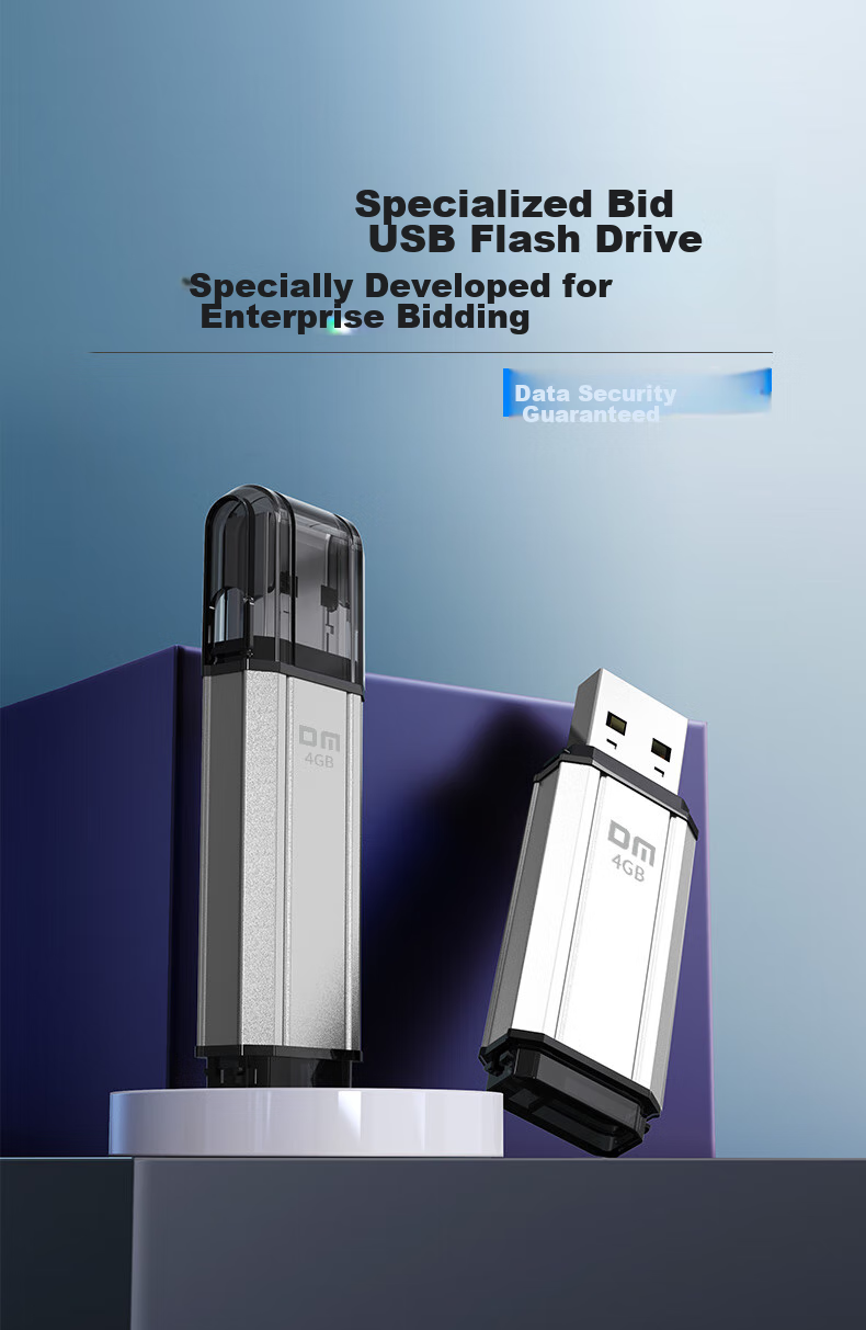 DM Daimai 4GB USB2.0 Flash Drive PD206, Silver, Small USB Drive for Bidding, Enterprise Competition Computer And Car USB Drive 1