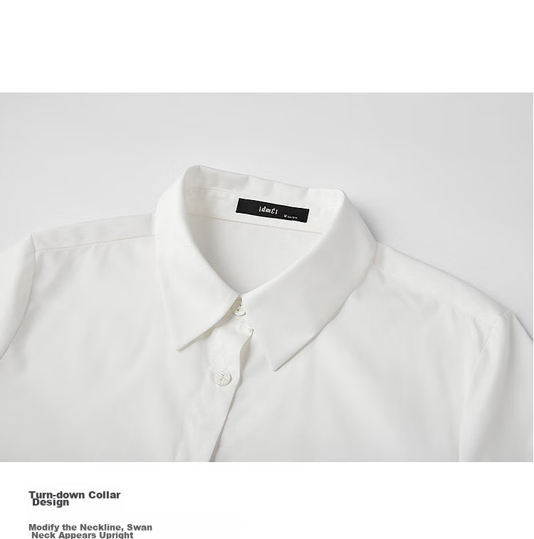 Dme [Career Art Collector] Spring And Autumn Breathable Simple Lapel Shirt, Long-Sleeve Fitted Blouse, Women's Top 6
