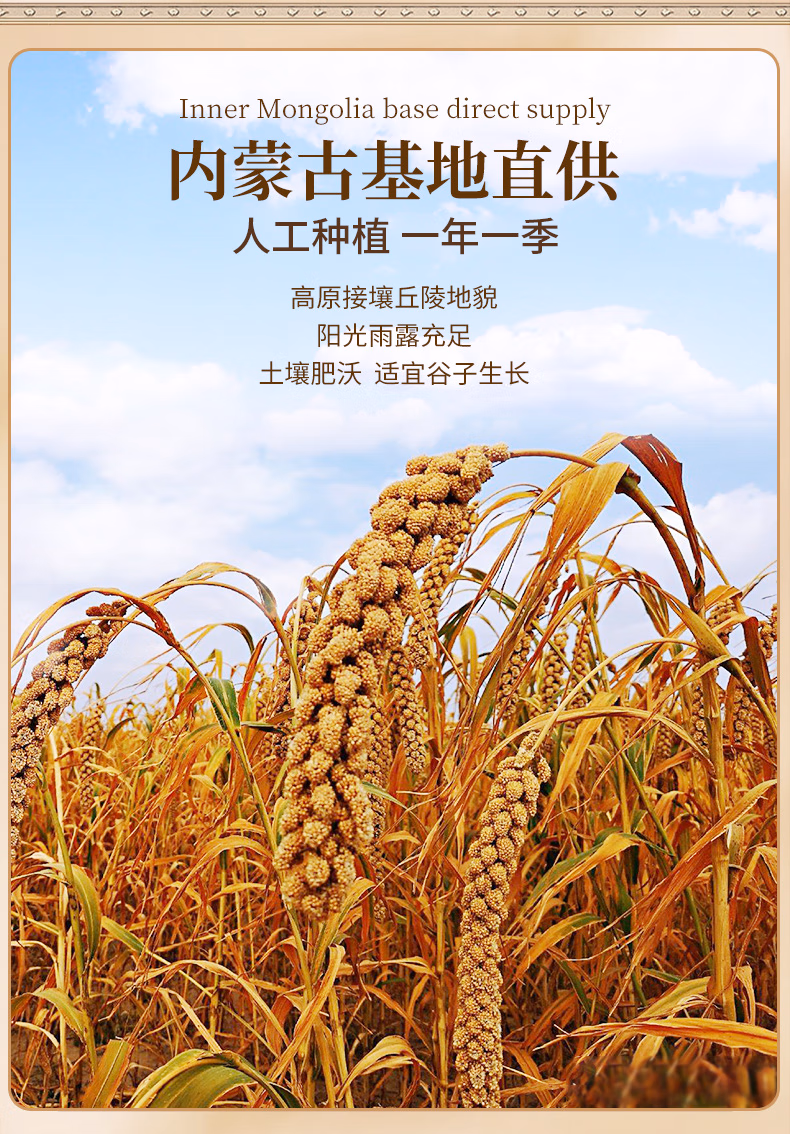 详情图.png