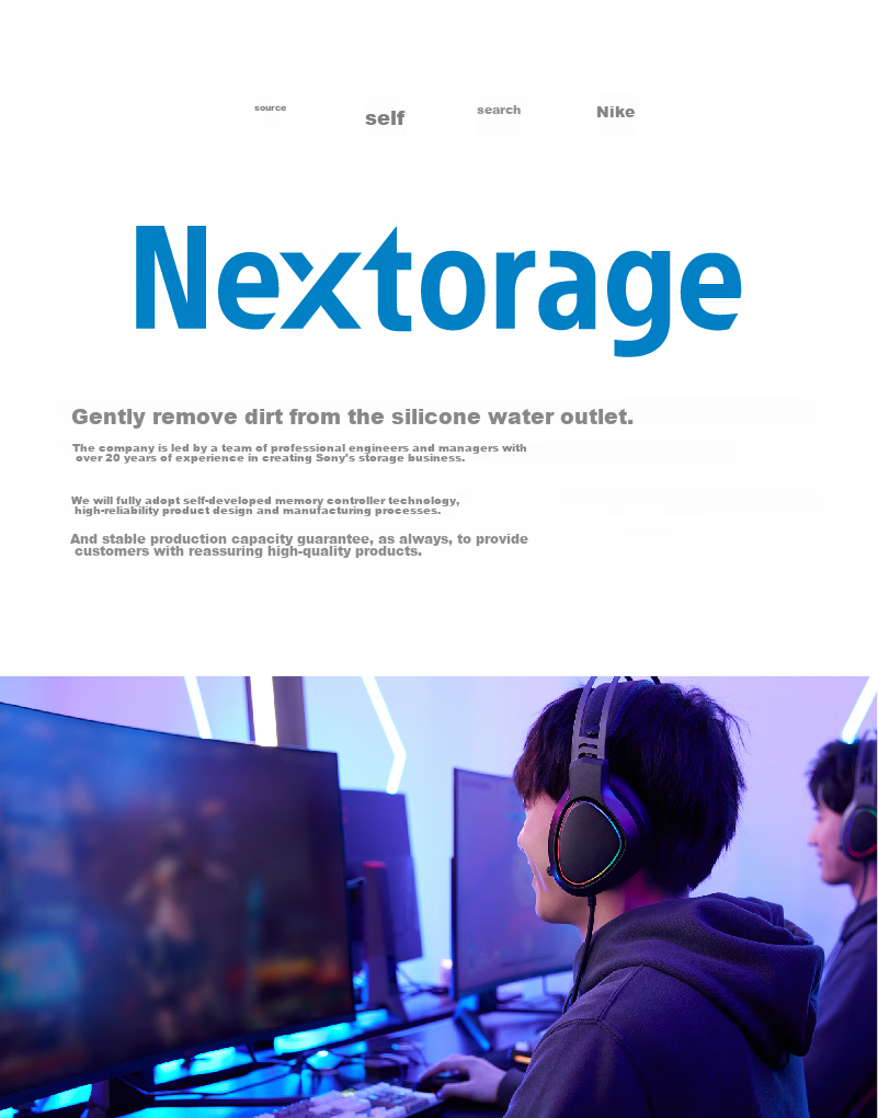 Nextorage 1TB SSD Solid State Drive PS5 Expansion Hard Drive M.2 Interface (NVMe Protocol PCIe 4.0) with Heatsink, Xuan Yin Series NEM-PAVC1TB 1