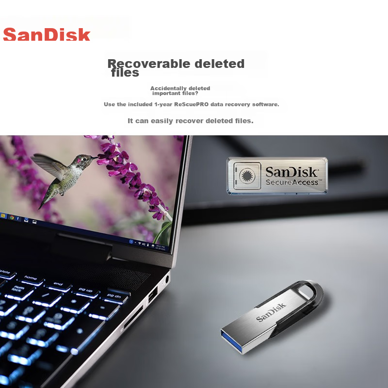 SanDisk (S-01193679