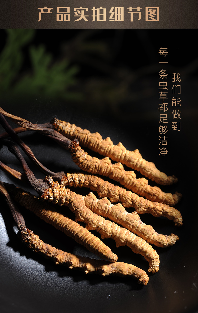 云南白药白药养生冬虫夏草西藏虫草4条克6克盒装高海拔精选品质