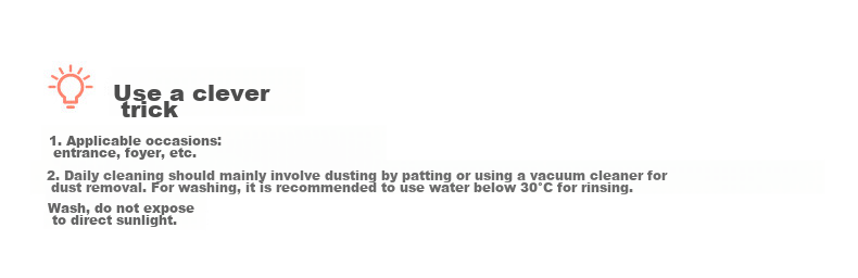 Dajiang Entrance Mat, Doorway Rug, Entryway Doormat, Foyer Mat, Luxurious High-End Carpet for Home Entrance, 71x160cm 11