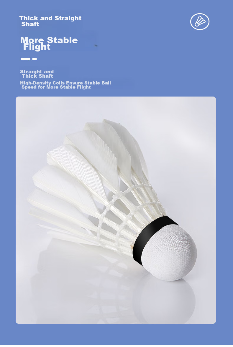 KAWASAKI Badminton Competition Training Durable Goose Feather Shuttlecocks, Pack of 10, P65 6
