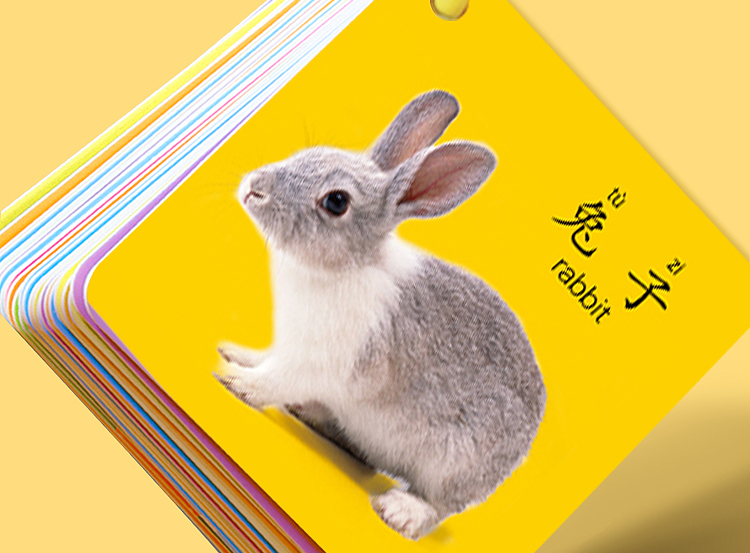 Dipuer Colorful Cards for Baby's Early Education, 3-6 Months Cognitive Cards, Picture Recognition Cards, Animal Cards, Object Recognition Cards 14