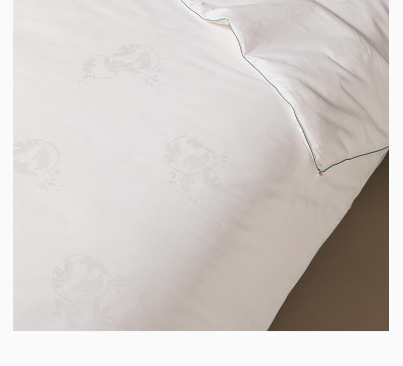 SILKUEEN [Lanyu] 100% Premium Mulberry Silk Comforter Core, All-Season Parent-Child Silk, Weight 1+3 Jin (500g), 220*240cm [White] 24