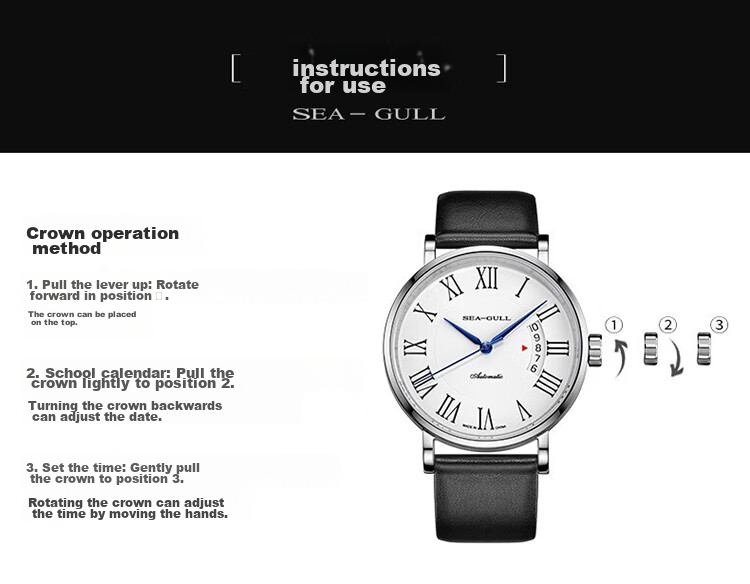 SEAGULL Men's Automatic Mechanical Watch, Bauhaus Date Display Men's Watch, Birthday Gift for Men, Model 6091 20