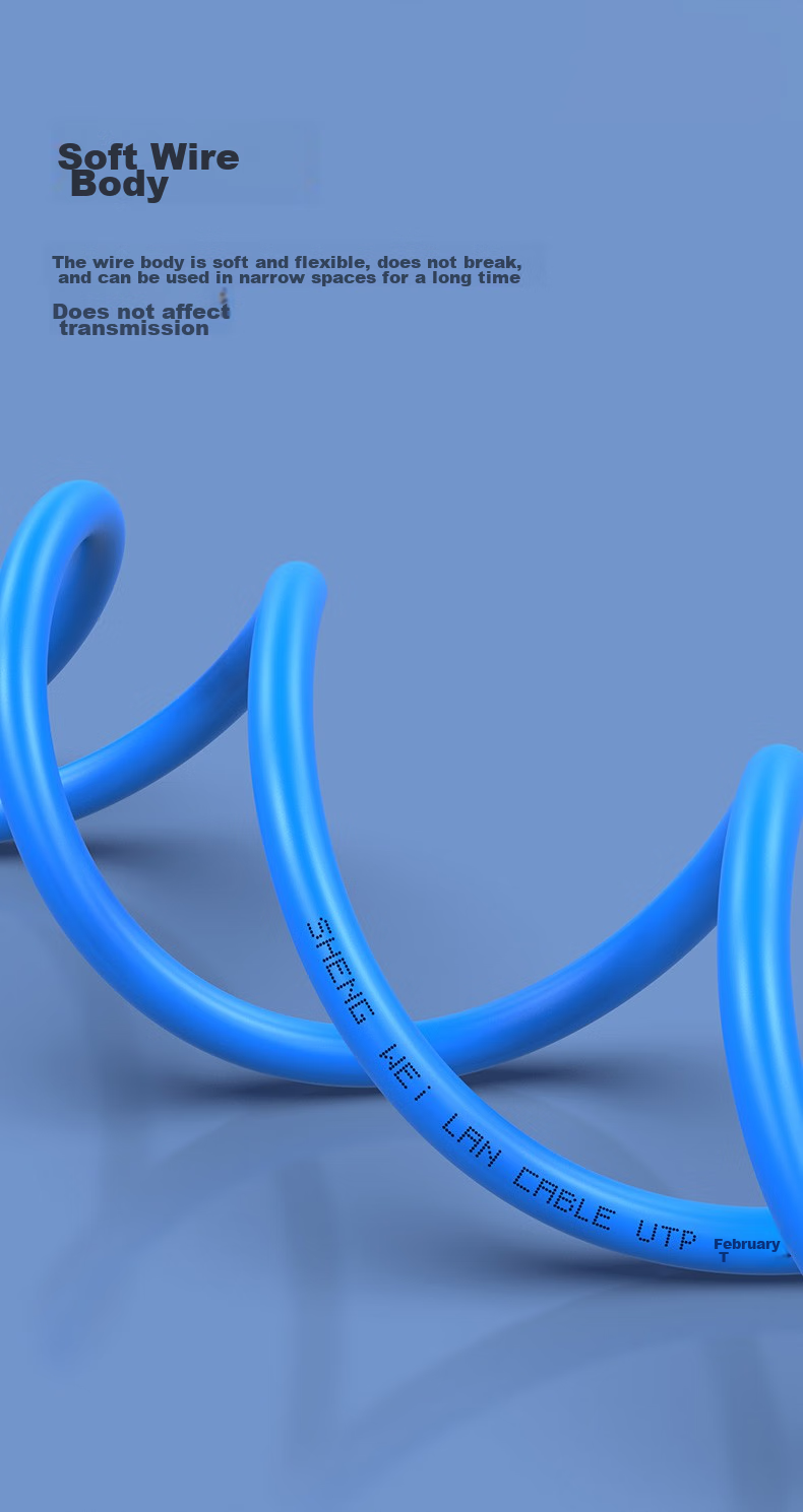 Shengwei CAT5e Pure Copper Ethernet Cable, 100Mbps, 3 Meters, Blue, High-Speed Computer Broadband Router Network Patch Cord, LC-2030C 6
