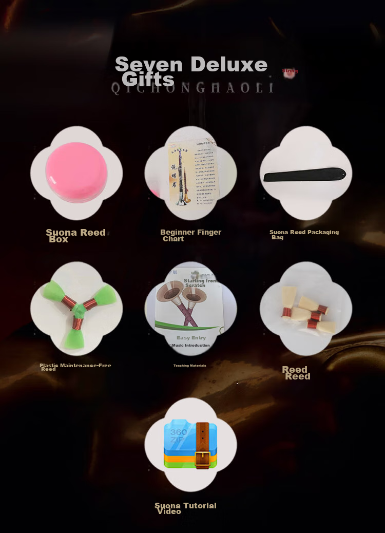 HongYiFengMing Internet-Famous Ebony D-Tune Golden Bowl Suona Instrument Set for Beginners, Professional Suona for Exams And Performances 2