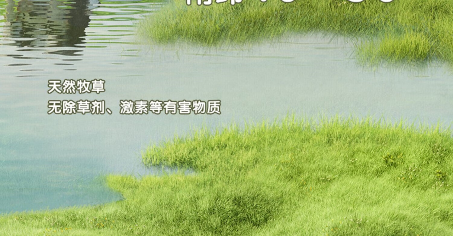 详情图.png