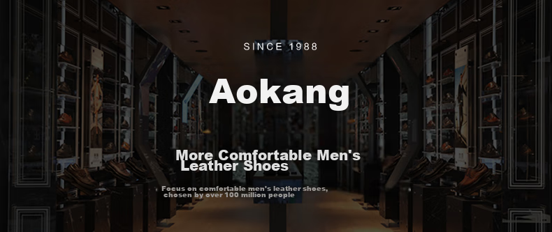 Aokang Official Spring And Autumn Popular Business Casual Leather Shoes, Comfortable Versatile Slip-On Shoes for Men, Black, Size 41 1