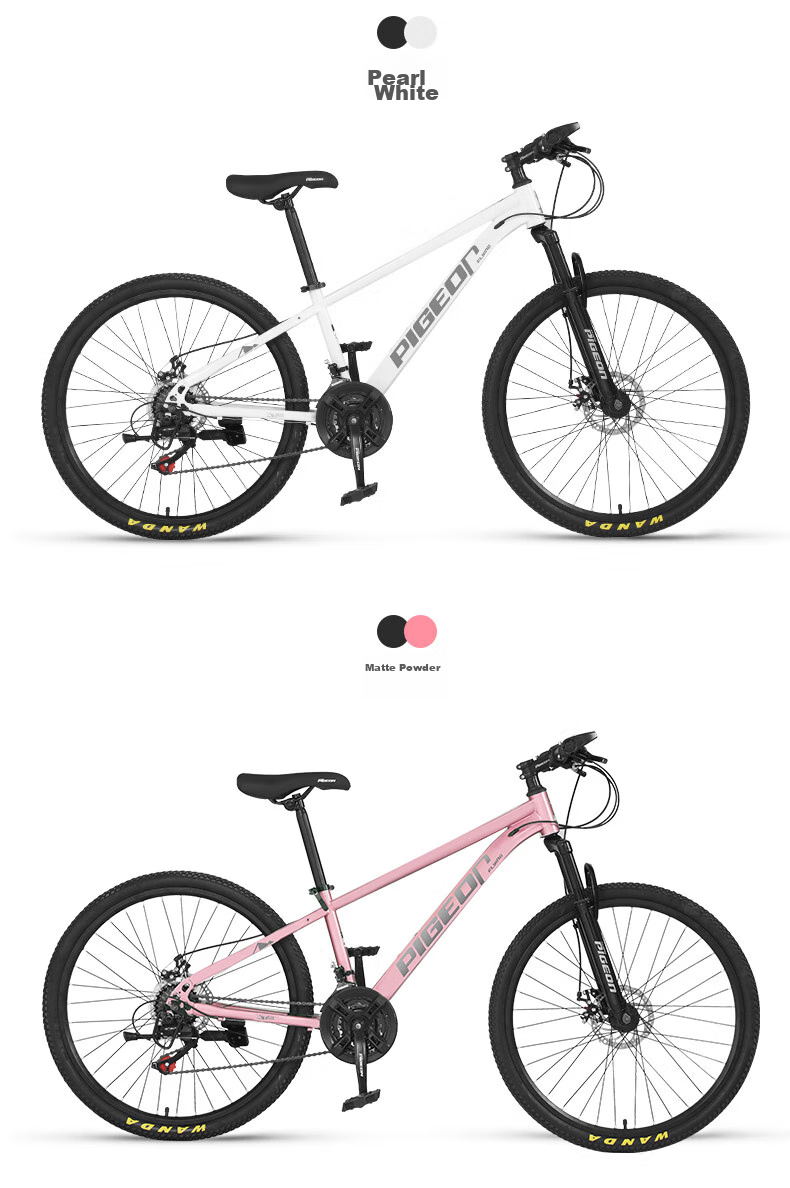 FG FLYING PIGEON Bicycle for Older Children, 21-Speed Mountain Bike, Youth Shock-Absorbing Bicycle, Student Pedal Bike, 26-Inch, Gray 22