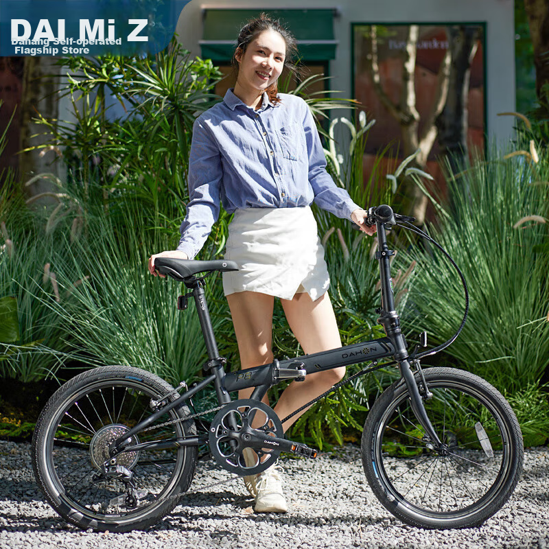 大行（DAHON）折叠自行车20英寸8级变速经典P8单车KBC083 黑色高配款-京仓