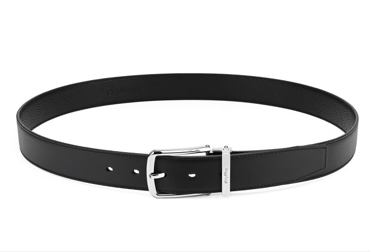 Goldlion Men's Pin Buckle Belt, Business Waistband Gift Box, Fashionable Trouser Belt, Birthday Gift 19