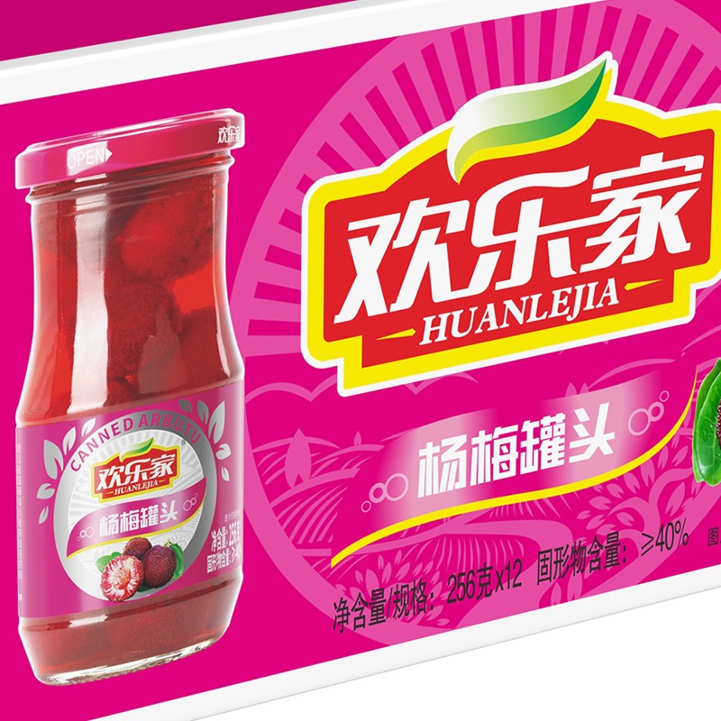欢乐家杨梅罐头256g*12瓶 新鲜水果罐头礼盒送礼 休闲零食