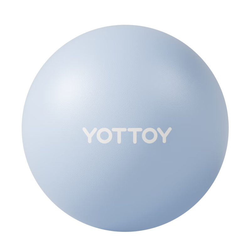 Yottoy Thickened Anti-Burst Yoga Ball Fitness Ball for Adults And Pregnant Women Pilates Equipment Balance Ball