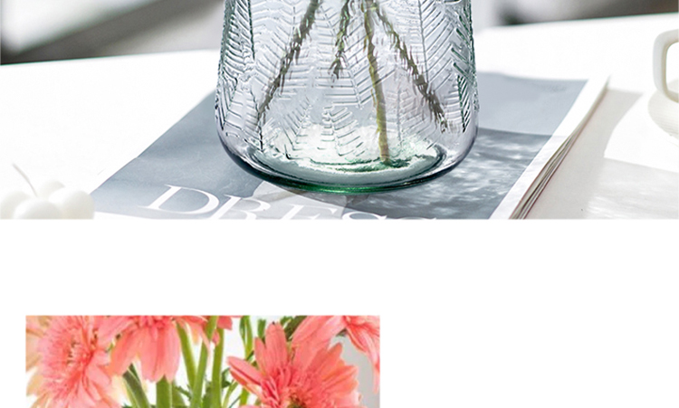 Jidukongjian Glass Vase, Flower Arrangement Vase, Hydroponic Plant Ecological Bottle, Transparent Desktop Vase for Living Room And Office Desk, Home Decor Ornament 15