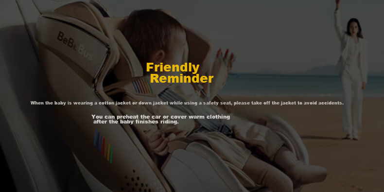 Bebebus Safety Car Seat Space Capsule Intelligent for Babies 0-7 Years Old, Newborn Infants, Space Capsule Classic Ventilation Versio 23