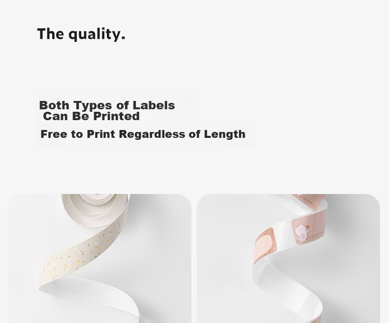 Deli Q2 Green Portable Thermal Label Printer for Home Use, Journal Name Tags, Storage Labels, Price Tags, Food Labels Printer with Mobile Bluetooth Connectio 13
