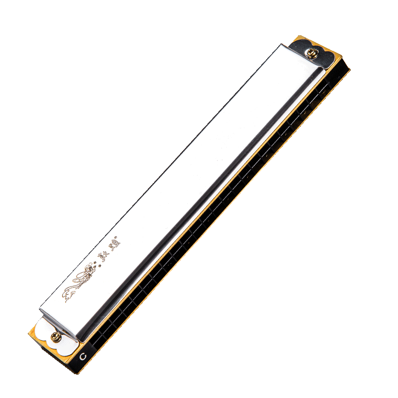 Dunhuang 24-Hole Polyphonic Harmonica DN24-1, Silver, Recommended for Adult Beginners, Key of C, Entry-Level Performance