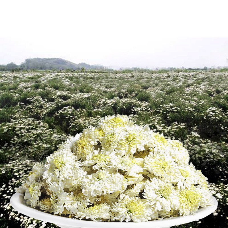 贡苑花草茶 菊花茶贡菊30g黄山原产 特优级白菊花杭菊花泡水养身凉茶