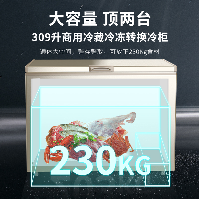 澳柯玛（AUCMA）309升家用商用大容量冰柜 商用雪糕大冰箱 冷藏冷冻转换顶开门冷柜  BC/BD-309HNE