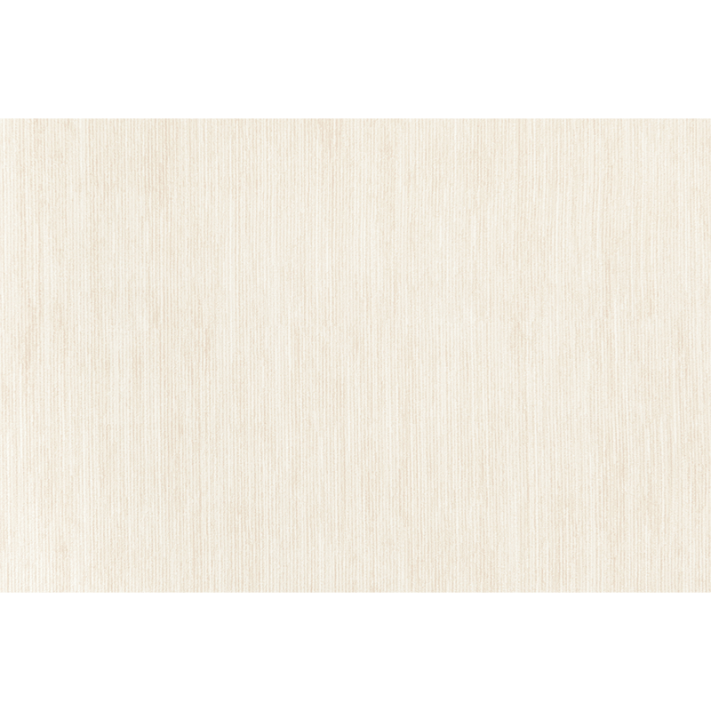 Xinglianxin Entrance Door Mat 2025 New Model Dirt-Resistant Wash-Free Home Floor Mat 60X90cm