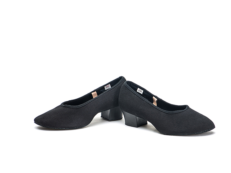 Sansha Ethnic Belly Dance Canvas Upper Ballet Flats, Teacher Practice Shoes, Exam Shoes CL35C, Black, Size 39 8