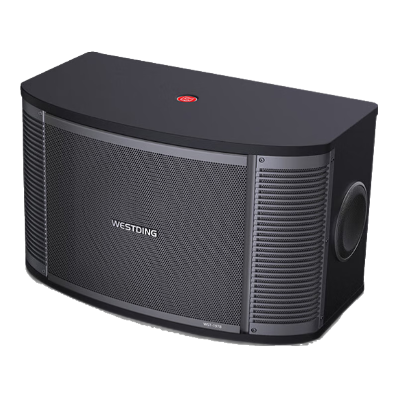 WESTDING Home KTV Karaoke Sound System Complete Set, Karaoke Theater Supermarket Home Living Room Conference Shop High-Power 12-Inch Four-Way Speaker Tianlai One Piece