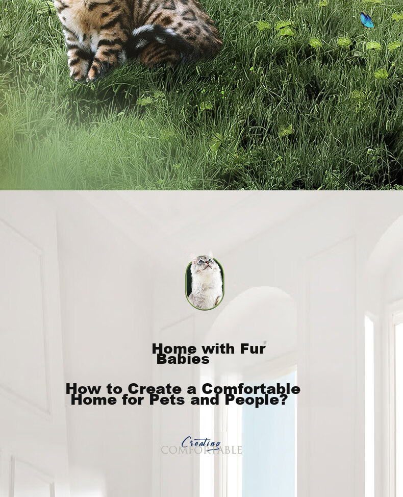 SOLEUSAIR Pet Air Purifier Filter RFC01-C for Cat And Dog Hair, Removes Allergens, Cat Hair Purifier, Disinfects And Eliminates Odors, Gift 4