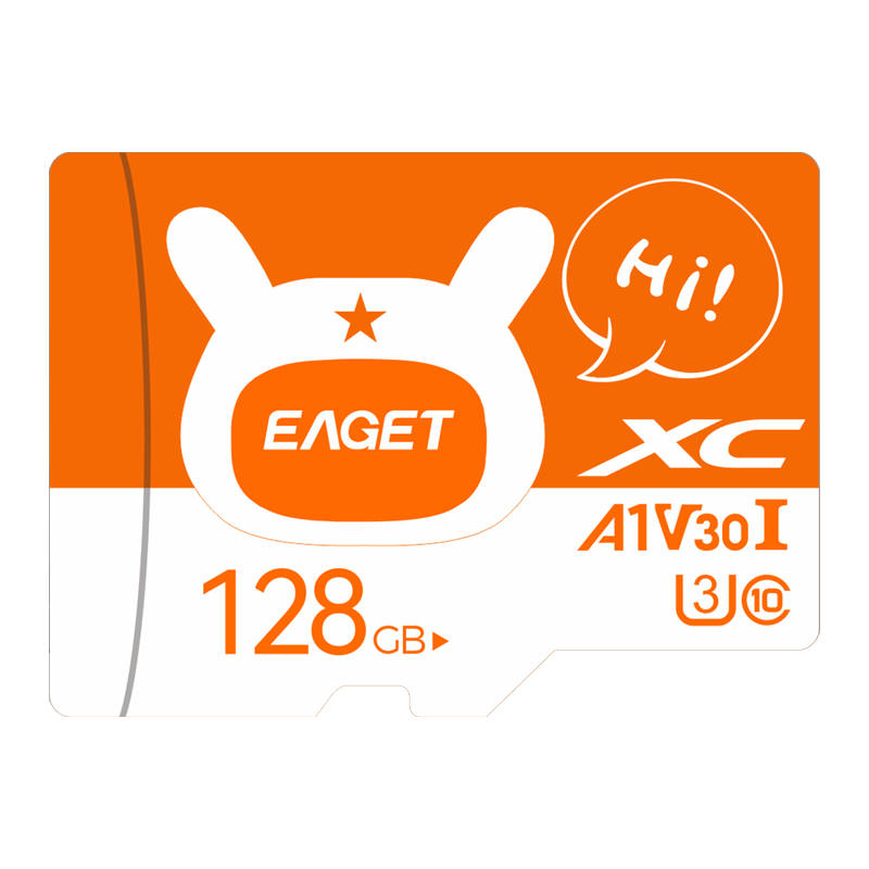EAGET 128GB TF (MicroSD) Memory Card A1 V30 C10 Dash Cam & Compatible with Xiaomi Surveillance Camera Memory Card, Upgraded And Durable