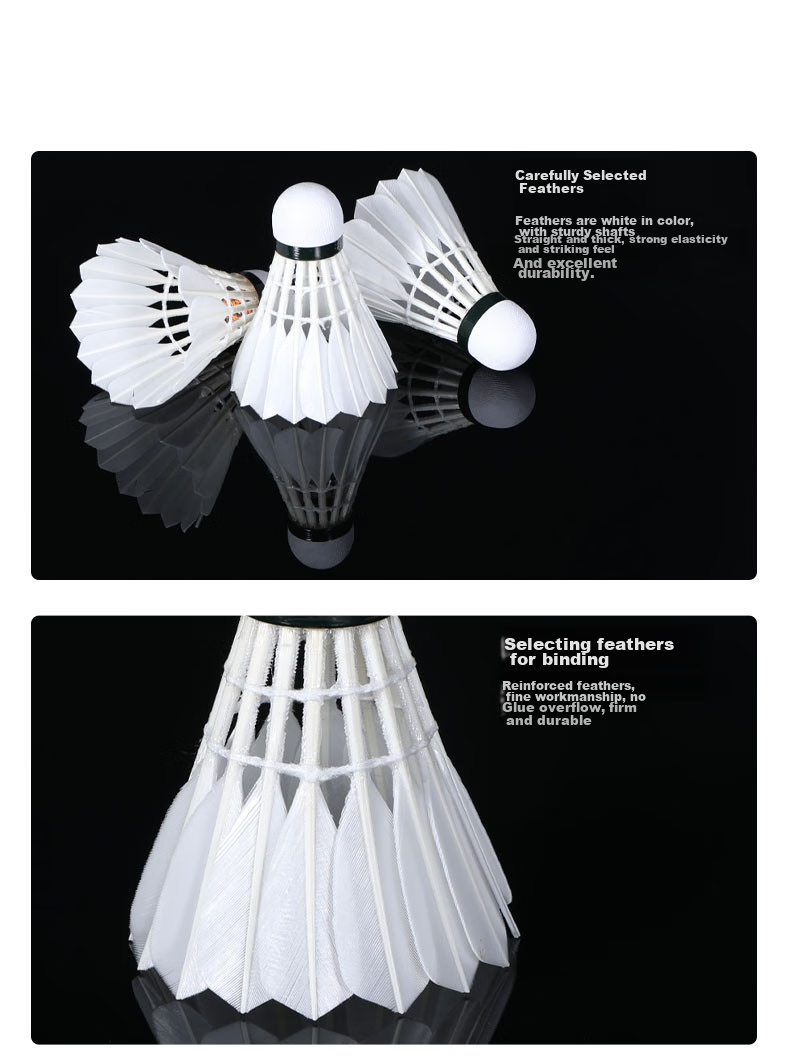 RSL Badminton Shuttlecocks, Duck Feather, 12 Per Tube, Durable, Stable Flight, for Competition And Training, SK.7 Size, 1 Tube 4