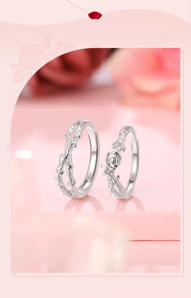 Clect Rose Vine Couple Rings, One Pair for Women, 925 Silver Elegant Jewelry, Fashionable Birthday Gift for Girlfriend 1
