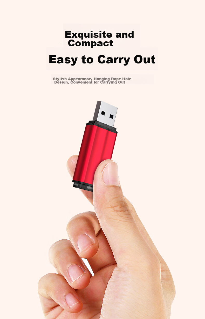 DM Daimai 4GB USB2.0 Flash Drive, Bidding USB Drive, PD208, Small Capacity Computer Label USB Drive for Bidding, 10 Pieces/box 5