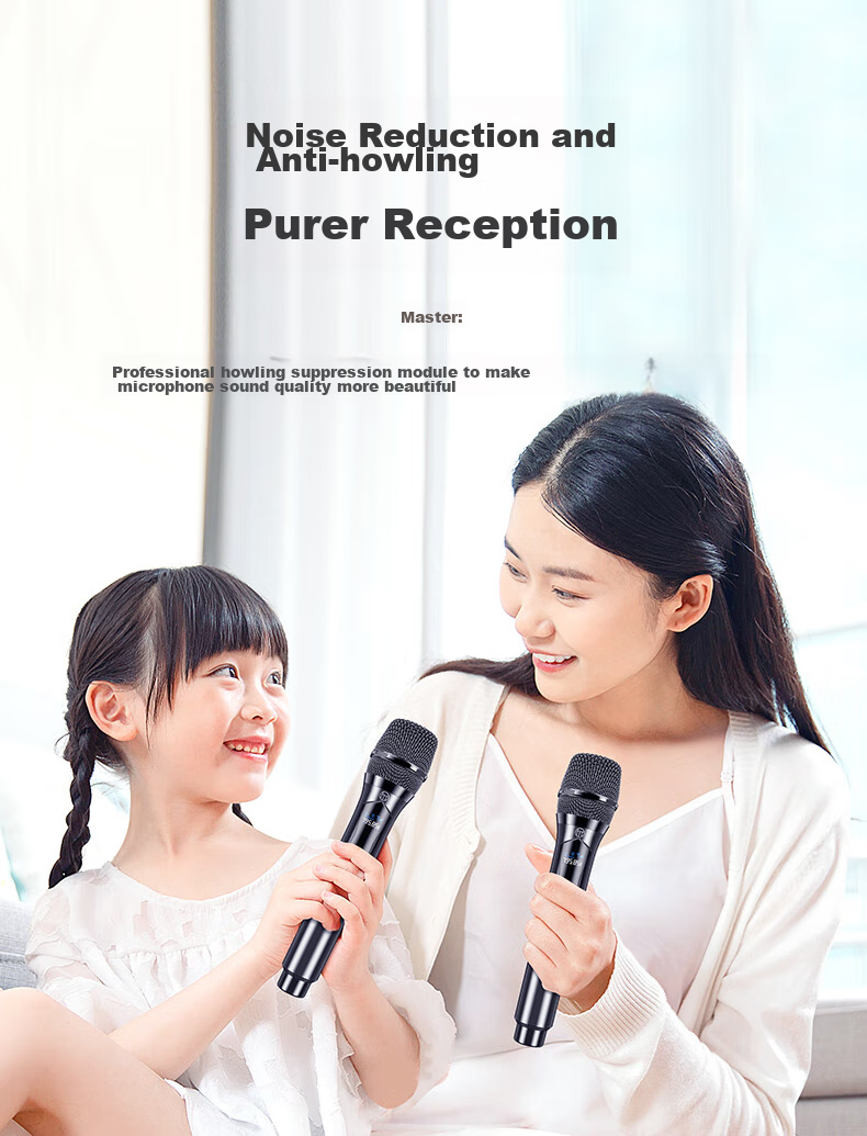 Haomuren Wireless Microphone Rechargeable Universal Mic for Home KTV, Professional Singing, Stage Hosting, Speeches, Karaoke, Meetings, Outdoor Use with Speaker, Amplifier, FM Receiver, Universal 6