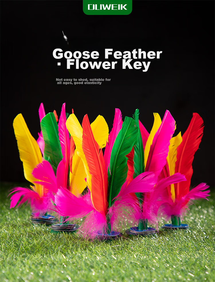 Duweike Large Goose Feather Shuttlecock with Colorful Competition Design, Tendon Sole, Flower Key Pattern, Children's Shuttlecock Set of 5 1