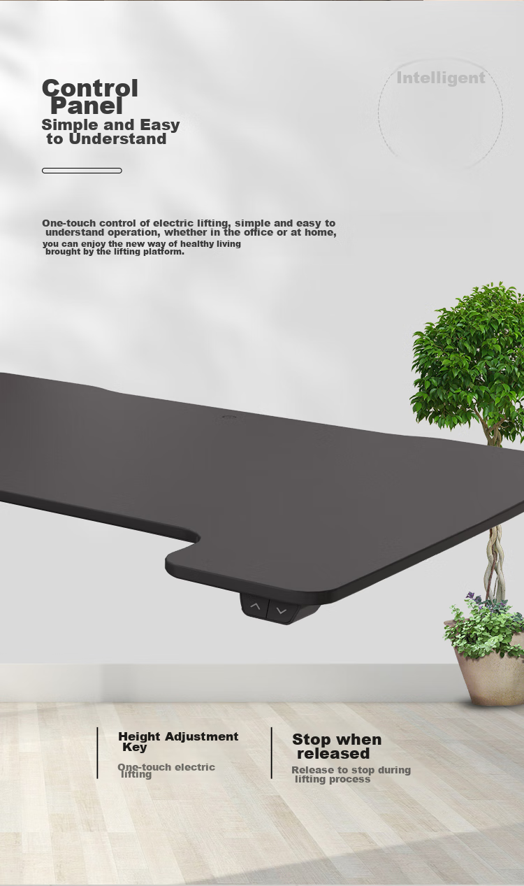 Loctek Height Adjustable Computer Desk, Standing Desk, Electric Lift Desk EM2M Elegant Black 11