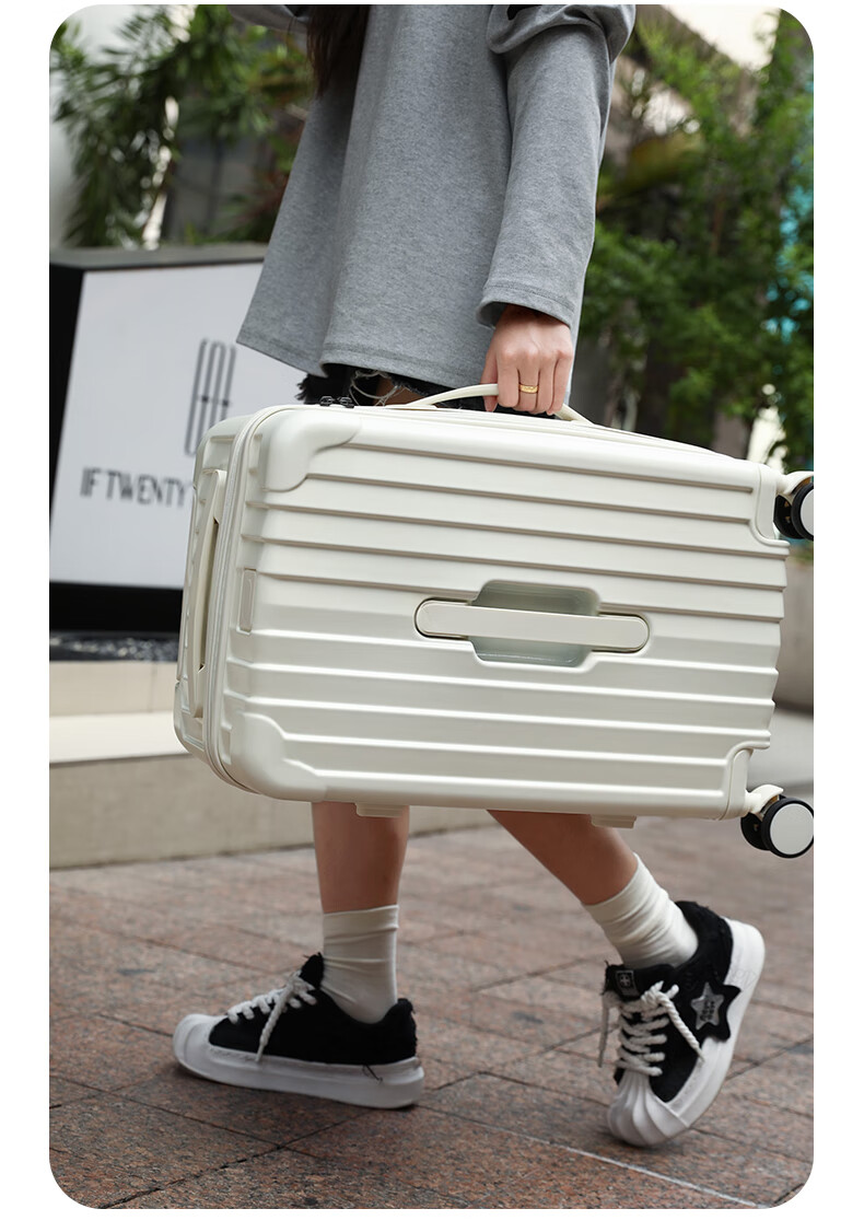 LEXON French Brand Large Capacity 26-Inch Suitcase, Business Travel Luggage, Spinner Wheels Trolley Case, Student Password Lock Suitcase 22