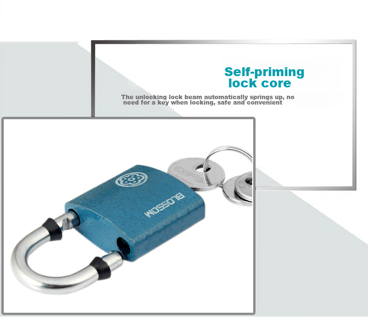 BLOSSOM Master Key Padlock, Door Lock, Electric Meter Box Lock BC2932-1 Blue 30MM One Key Opens Multiple Locks 7