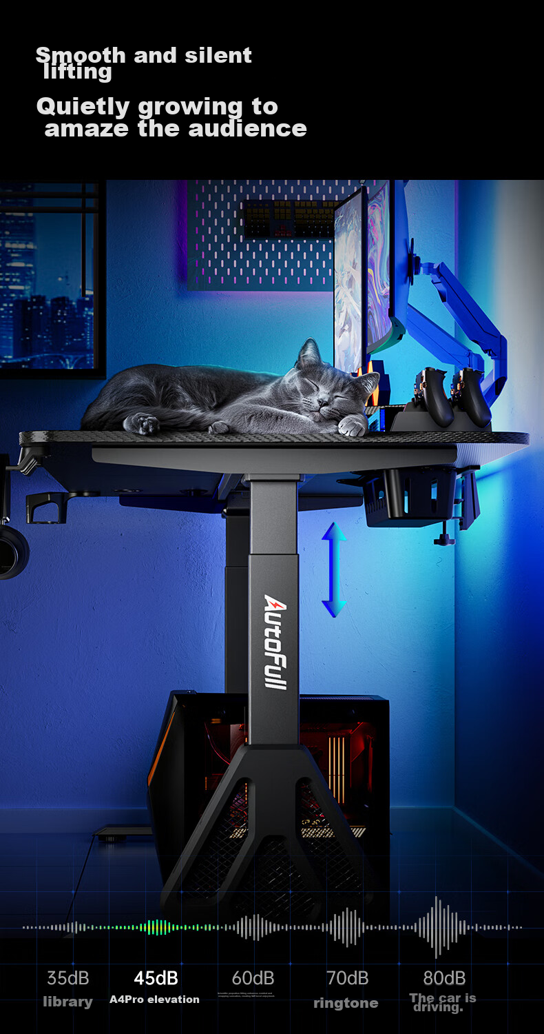 AOFENG A4Pro Gaming Desk Solid Wood Electric Height Adjustable Computer Desk Office Desk Black 1.8*0.8m 9