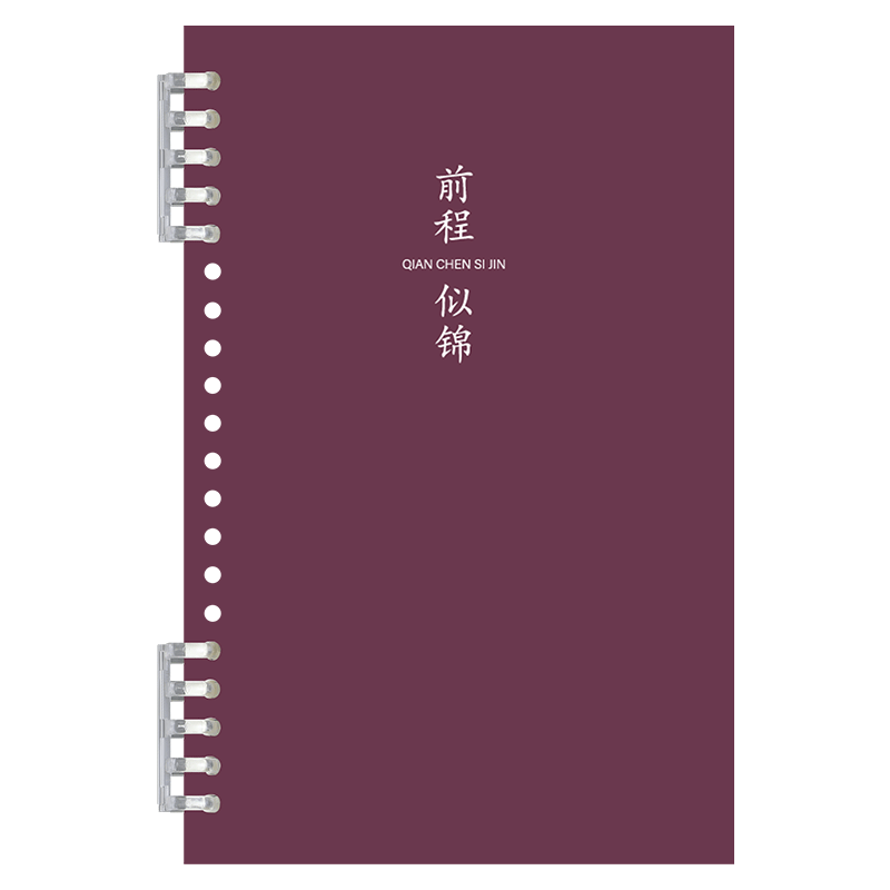Faramon 2-Pack/B5 Lined Notebook, Comfortable to Hold, Detachable Refill Spiral-Bound Journal for Middle And High School Students, College Students' Exam Preparation Diary, Printed Versio