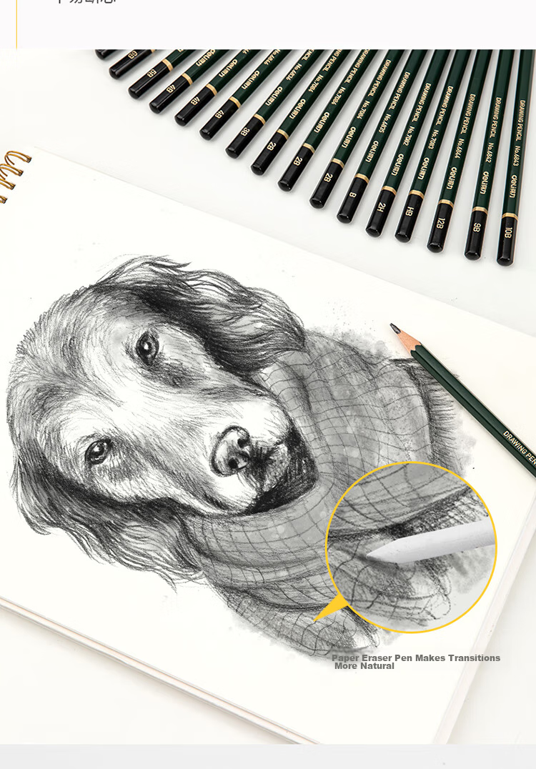 Deli Medium-Grain 12-Pack Boxed 58121 Art Sketching Charcoal Pencils, Graphite Pencils for Drawing, Professional Art Pencils, Hard Core Graduation Gift for Boys And Girls 9