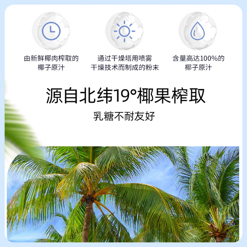 春光食品 海南特产 纯椰子粉308g 无添加 早餐椰奶椰汁粉 独立小包装