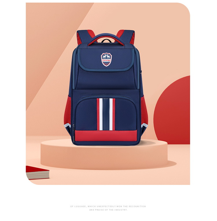 V.NINE Backpack for Primary School Boys, Lightweight And Reduced Burden Children's Schoolbag with Large Capacity Cloud-Style Double Shoulder Bag, British Style Backpack 12