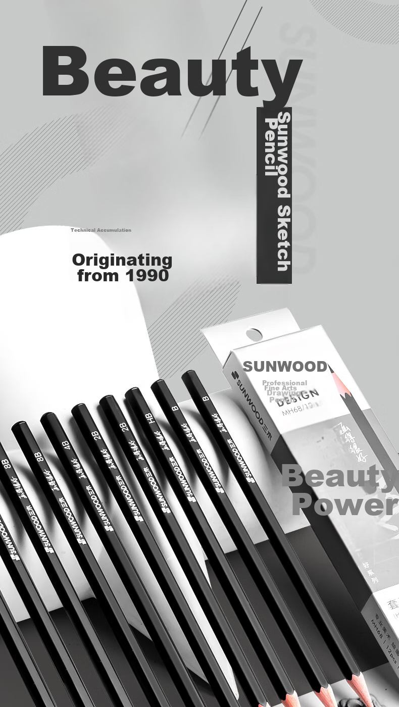 SUNWOOD Beginner's Sketching Pencils Mixed Set for Art Students, B/HB/2B/4B/6B/8B Each Two Pencils MH68 2