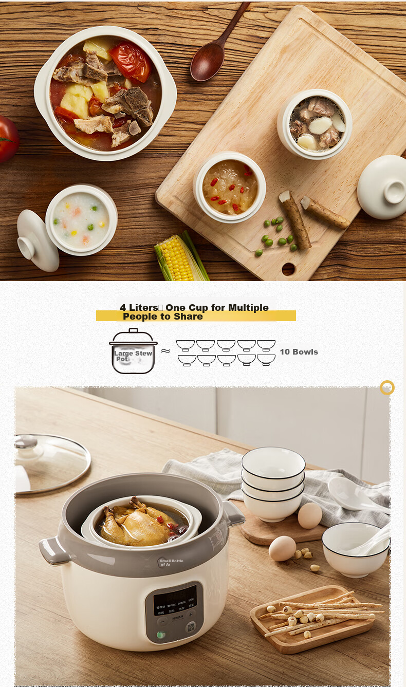 Bear Electric Slow Cooker, Soup Pot for 3-4 People, Stew Pot, Bird's Nest Cooking Pot, Soup Stewing Pot, Baby Food Cooker, DDZ-C25X6 4L with Steamer Basket 4